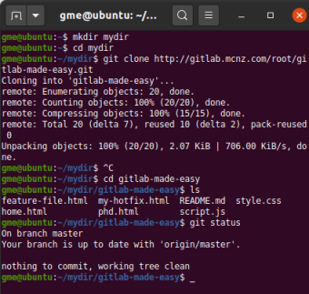 git clone command with branch name