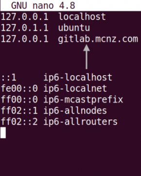 Edit Ubuntu Hosts