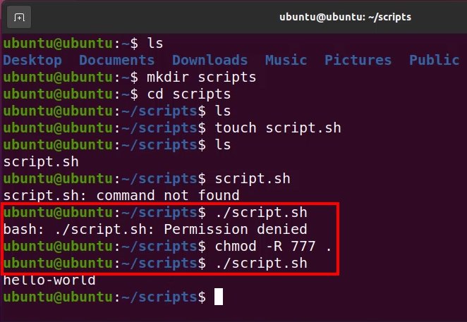 How to create and run a shell script in Linux and Ubuntu