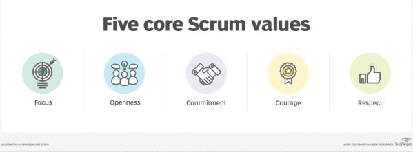 daily scrum values