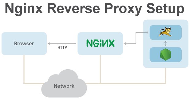 Nginx reverse proxy example