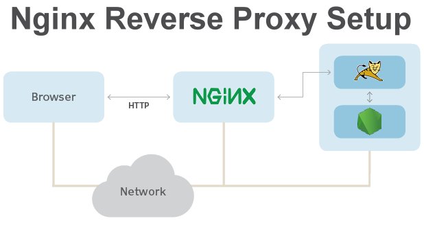 What is a Reverse Proxy Server, Proxy vs Reverse Proxy